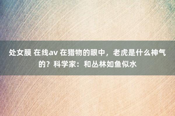 处女膜 在线av 在猎物的眼中，老虎是什么神气的？科学家：和丛林如鱼似水