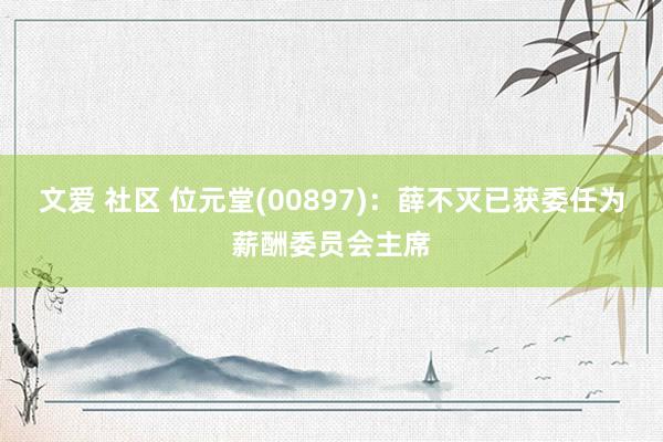 文爱 社区 位元堂(00897):薛不灭已获委任为薪酬委员会主席