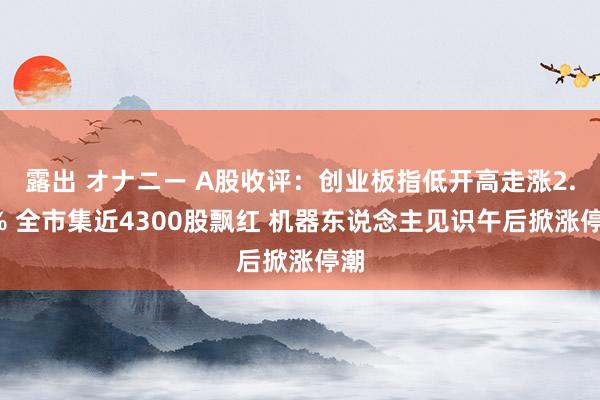 露出 オナニー A股收评：创业板指低开高走涨2.5% 全市集近4300股飘红 机器东说念主见识午后掀涨停潮