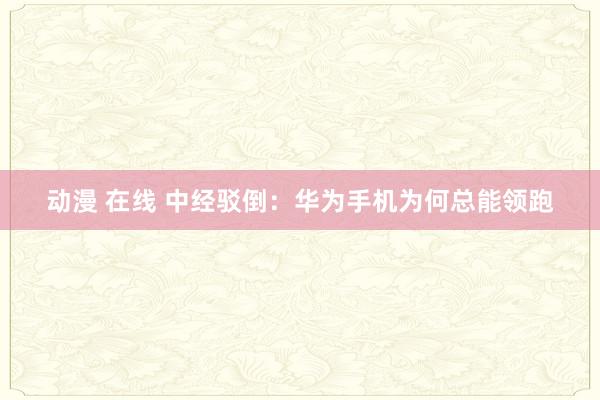 动漫 在线 中经驳倒：华为手机为何总能领跑