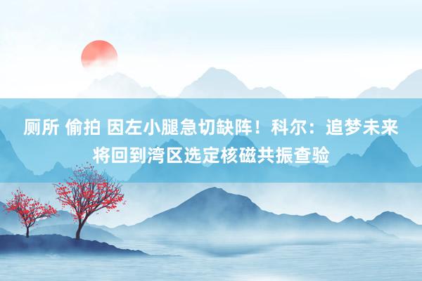 厕所 偷拍 因左小腿急切缺阵！科尔：追梦未来将回到湾区选定核磁共振查验