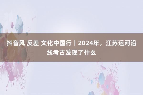 抖音风 反差 文化中国行｜2024年，江苏运河沿线考古发现了什么