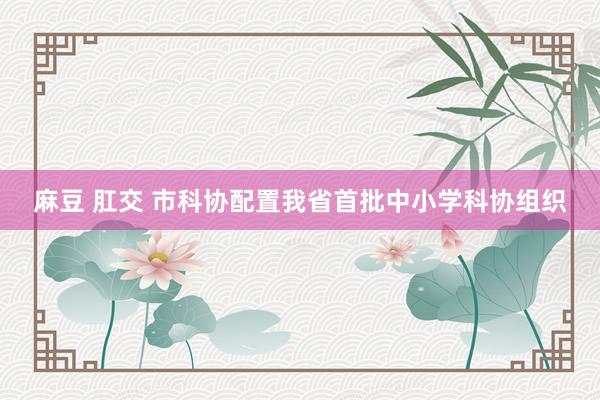 麻豆 肛交 市科协配置我省首批中小学科协组织