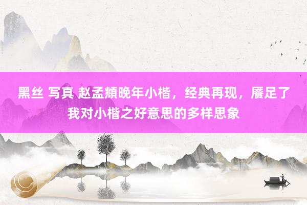 黑丝 写真 赵孟頫晚年小楷，经典再现，餍足了我对小楷之好意思的多样思象