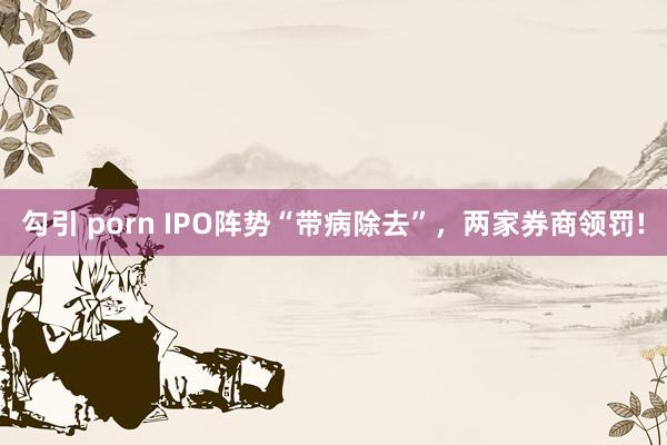 勾引 porn IPO阵势“带病除去”，两家券商领罚!