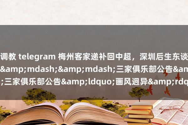 调教 telegram 梅州客家递补回中超，深圳后生东谈主、陕西连合递补中甲&mdash;&mdash;三家俱乐部公告&ldquo;画风迥异&rdquo;