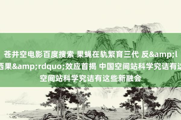 苍井空电影百度搜索 果蝇在轨繁育三代 反&ldquo;巴西果&rdquo;效应首揭 中国空间站科学究诘有这些新融会
