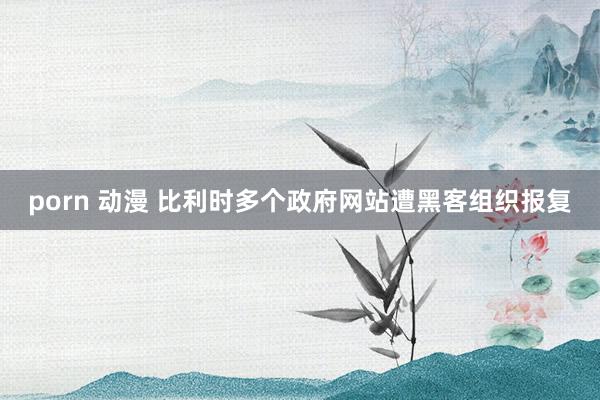 porn 动漫 比利时多个政府网站遭黑客组织报复