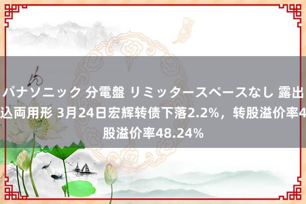 パナソニック 分電盤 リミッタースペースなし 露出・半埋込両用形 3月24日宏辉转债下落2.2%，转股溢价率48.24%