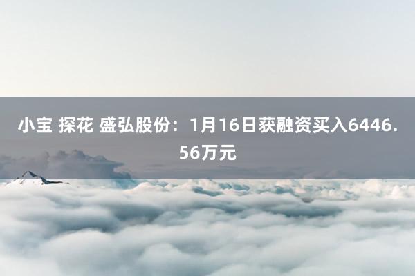 小宝 探花 盛弘股份：1月16日获融资买入6446.56万元