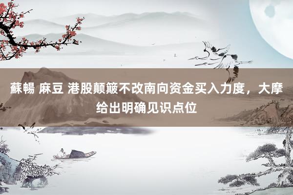 蘇暢 麻豆 港股颠簸不改南向资金买入力度，大摩给出明确见识点位