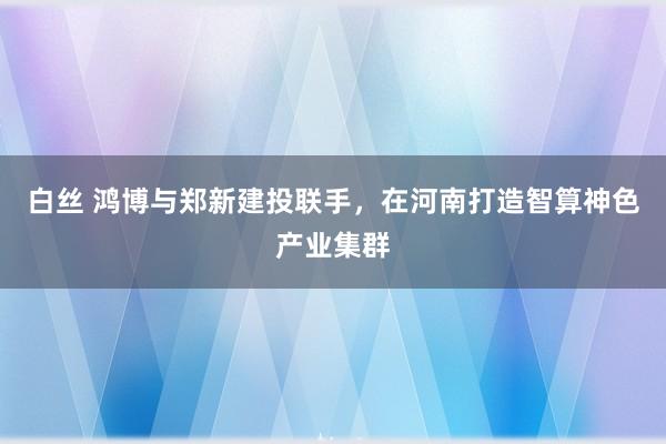 白丝 鸿博与郑新建投联手，在河南打造智算神色产业集群