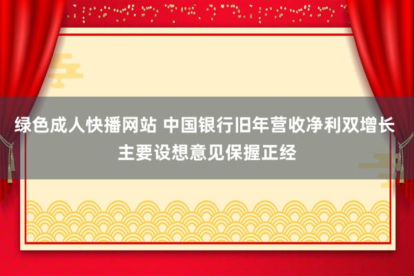 绿色成人快播网站 中国银行旧年营收净利双增长 主要设想意见保握正经