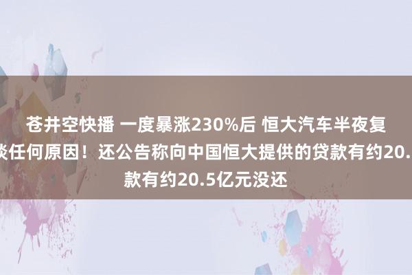 苍井空快播 一度暴涨230%后 恒大汽车半夜复兴：不知谈任何原因！还公告称向中国恒大提供的贷款有约20.5亿元没还