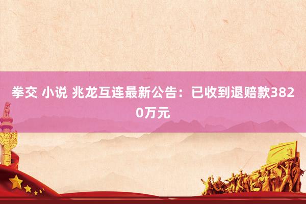 拳交 小说 兆龙互连最新公告：已收到退赔款3820万元