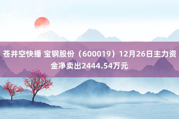 苍井空快播 宝钢股份（600019）12月26日主力资金净卖出2444.54万元