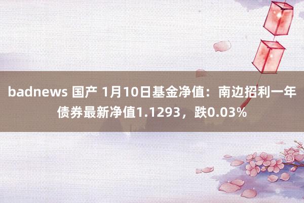 badnews 国产 1月10日基金净值：南边招利一年债券最新净值1.1293，跌0.03%
