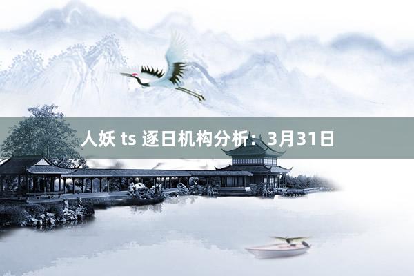 人妖 ts 逐日机构分析：3月31日