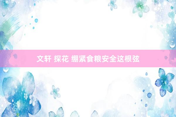 文轩 探花 绷紧食粮安全这根弦