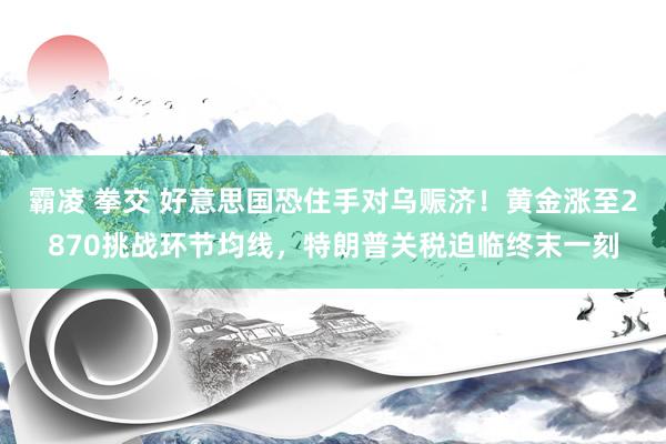 霸凌 拳交 好意思国恐住手对乌赈济！黄金涨至2870挑战环节均线，特朗普关税迫临终末一刻