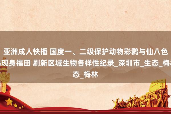亚洲成人快播 国度一、二级保护动物彩鹮与仙八色鸫现身福田 刷新区域生物各样性纪录_深圳市_生态_梅林