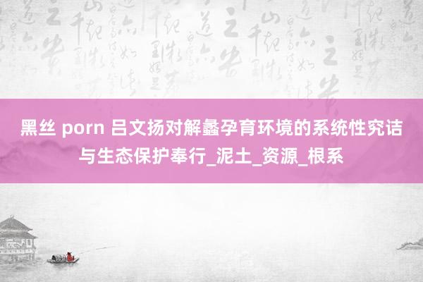 黑丝 porn 吕文扬对解蠡孕育环境的系统性究诘与生态保护奉行_泥土_资源_根系