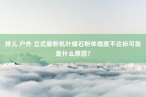 婷儿 户外 立式磨粉机叶蜡石粉体细度不达标可能是什么原因？