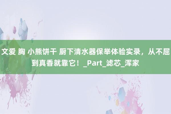 文爱 胸 小熊饼干 厨下清水器保举体验实录，从不屈到真香就靠它！_Part_滤芯_浑家