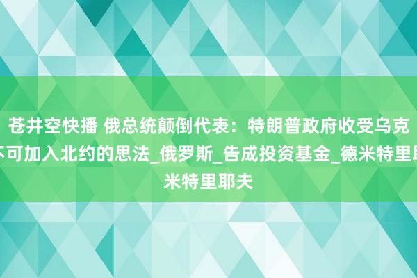 苍井空快播 俄总统颠倒代表：特朗普政府收受乌克兰不可加入北约的思法_俄罗斯_告成投资基金_德米特里耶夫