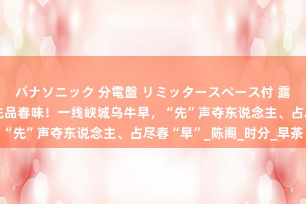 パナソニック 分電盤 リミッタースペース付 露出・半埋込両用形 抢先品春味！一线峡城乌牛早，“先”声夺东说念主、占尽春“早”_陈阁_时分_早茶