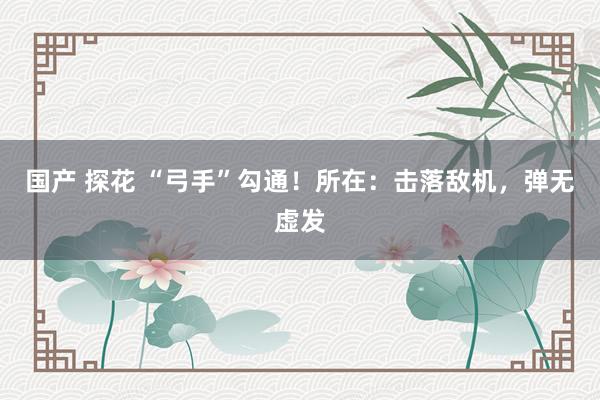 国产 探花 “弓手”勾通！所在：击落敌机，弹无虚发