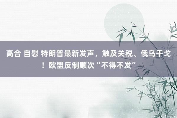 高合 自慰 特朗普最新发声，触及关税、俄乌干戈！欧盟反制顺次“不得不发”