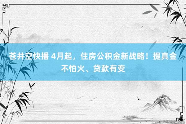 苍井空快播 4月起，住房公积金新战略！提真金不怕火、贷款有变