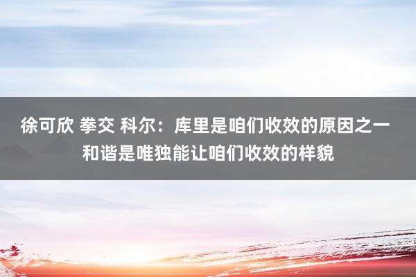 徐可欣 拳交 科尔：库里是咱们收效的原因之一 和谐是唯独能让咱们收效的样貌