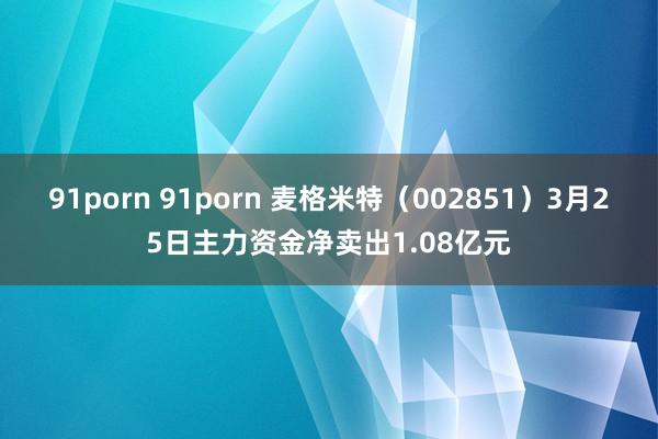 91porn 91porn 麦格米特（002851）3月25日主力资金净卖出1.08亿元