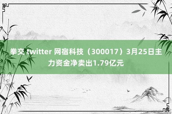 拳交 twitter 网宿科技（300017）3月25日主力资金净卖出1.79亿元