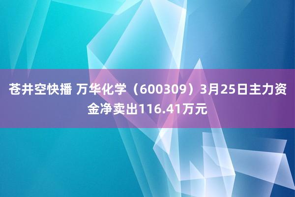 苍井空快播 万华化学（600309）3月25日主力资金净卖出116.41万元