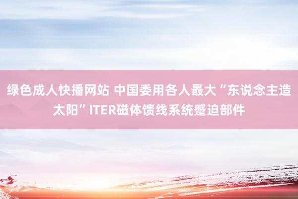 绿色成人快播网站 中国委用各人最大“东说念主造太阳”ITER磁体馈线系统蹙迫部件