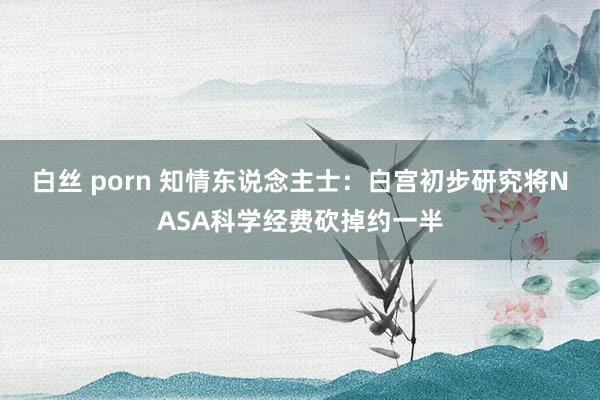 白丝 porn 知情东说念主士：白宫初步研究将NASA科学经费砍掉约一半