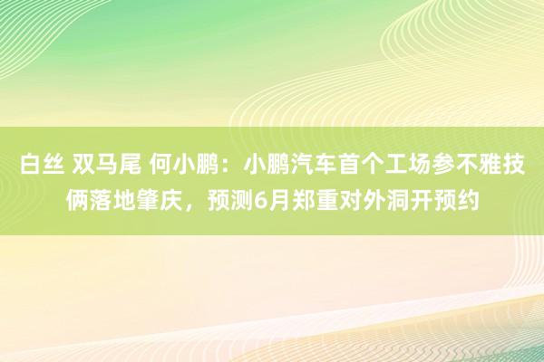 白丝 双马尾 何小鹏：小鹏汽车首个工场参不雅技俩落地肇庆，预测6月郑重对外洞开预约