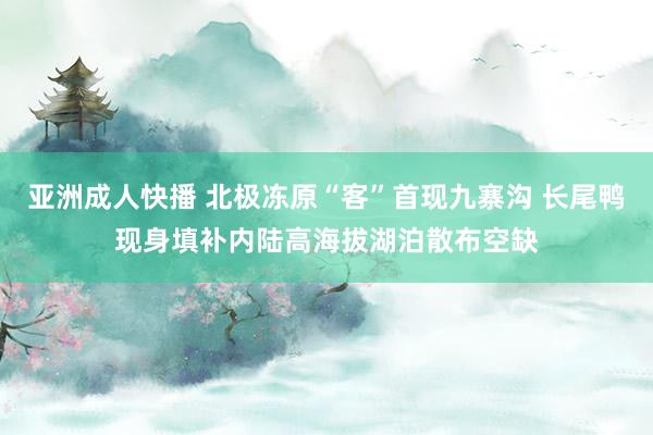 亚洲成人快播 北极冻原“客”首现九寨沟 长尾鸭现身填补内陆高海拔湖泊散布空缺