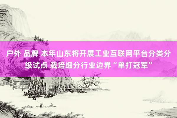 户外 品牌 本年山东将开展工业互联网平台分类分级试点 栽培细分行业边界“单打冠军”