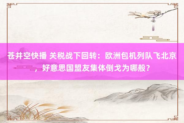苍井空快播 关税战下回转：欧洲包机列队飞北京，好意思国盟友集体倒戈为哪般？