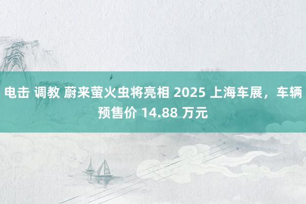 电击 调教 蔚来萤火虫将亮相 2025 上海车展，车辆预售价 14.88 万元