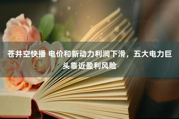 苍井空快播 电价和新动力利润下滑，五大电力巨头靠近盈利风险