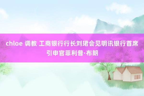 chloe 调教 工商银行行长刘珺会见明讯银行首席引申官菲利普·布朗