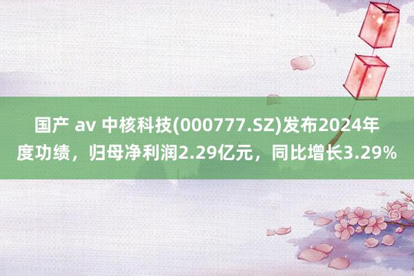 国产 av 中核科技(000777.SZ)发布2024年度功绩，归母净利润2.29亿元，同比增长3.29%