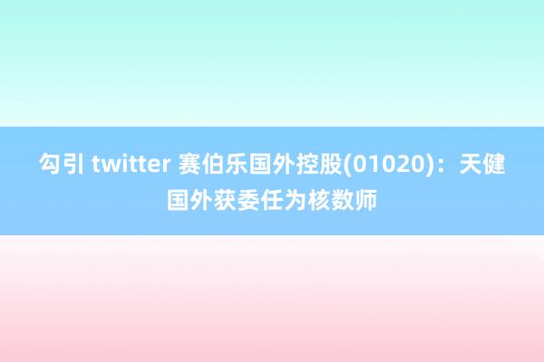勾引 twitter 赛伯乐国外控股(01020)：天健国外获委任为核数师