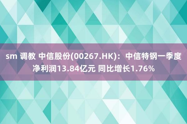 sm 调教 中信股份(00267.HK)：中信特钢一季度净利润13.84亿元 同比增长1.76%