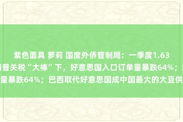 紫色面具 萝莉 国度外侨管制局：一季度1.63亿东谈主次进出境；特朗普关税“大棒”下，好意思国入口订单量暴跌64%；巴西取代好意思国成中国最大的大豆供应国｜早报